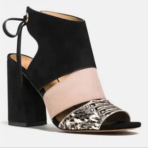 Coach snakeskin Minetta black heels 6.5